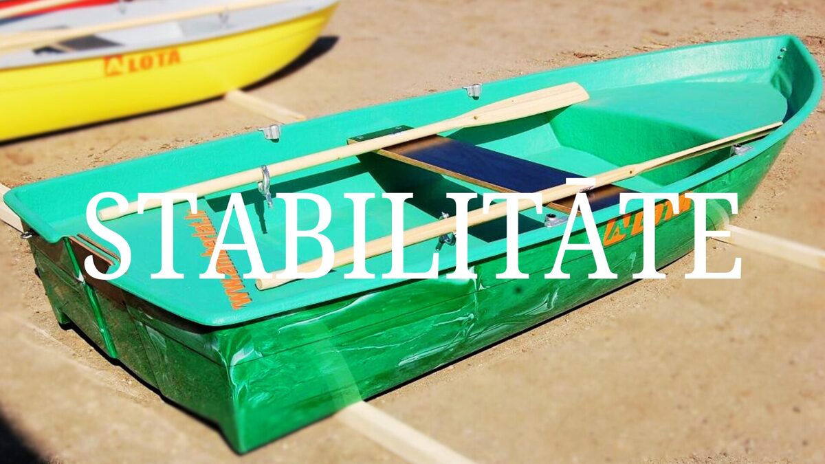 Airu laiva AMBER 310