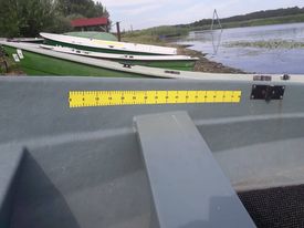 Measuring tape for measuring the length of fish